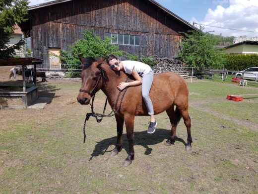 Natural-Horsemanship-horse-around,gerda-beer,pferdetraining, reitunterricht, reitpädagogik, kinderreiten