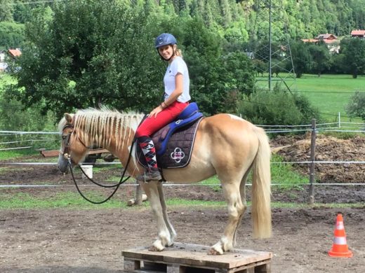 Natural-Horsemanship-horse-around,gerda-beer,pferdetraining, kinderreitunterricht, reitpädgogik