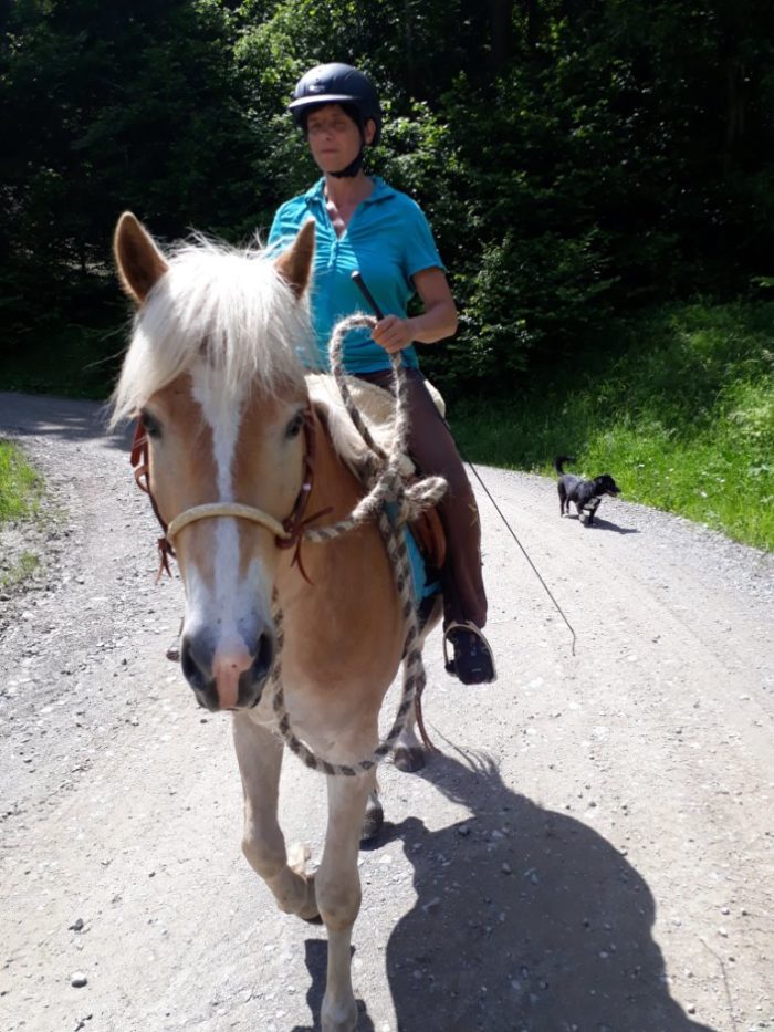 Natural-Horsemanship-horse-around,gerda-beer,pferdetraining, kinderreitunterricht, reitpädgogik