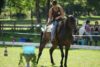 Natural-Horsemanship-horse-around,gerda-beer,pferdetraining, reitunterricht, reitpädagogik, kinderreiten, pferdeveranstaltung, turnier, horse-games, harmonic-horsegames, horsegames,pferdespiele,spiel-und-spaß-mit-dem-pferd